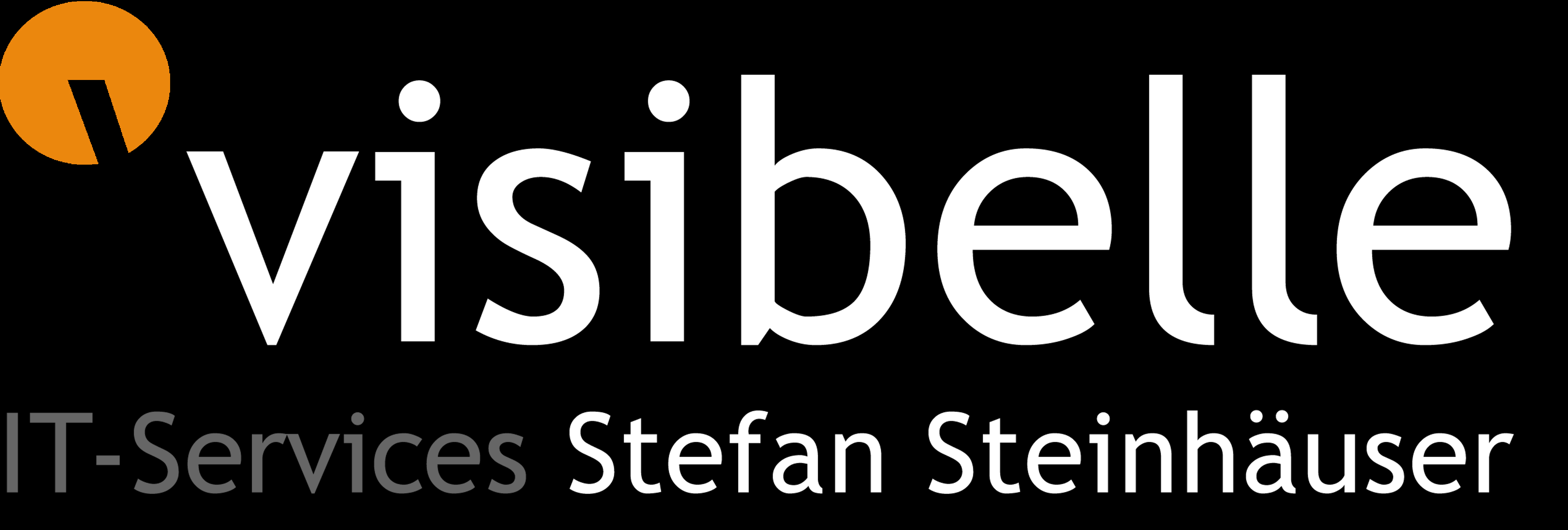 Visibelle Logo